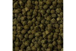 Sera Cichlid Green XL Nature, 3,6 Kg 5 Sera Cichlid Green XL Nature, 3,6 Kg -JBL || sera || TETRA Verkäufe 00218 sera cichlid green xl 10 Liter 2