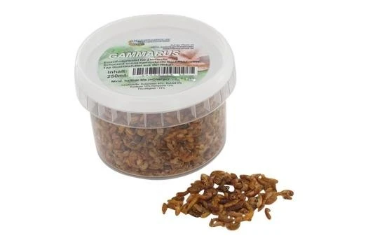 Hausmarke FD Gammarus (Bachflohkrebse), 500 Ml 3 Hausmarke FD Gammarus (Bachflohkrebse), 500 Ml