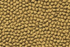 JBL ProPond Winter M 1,8 Kg 5 JBL ProPond Winter M 1,8 Kg -JBL || sera || TETRA Verkäufe 4120200 JBL ProPond Winter M 1 8 kg 2 1