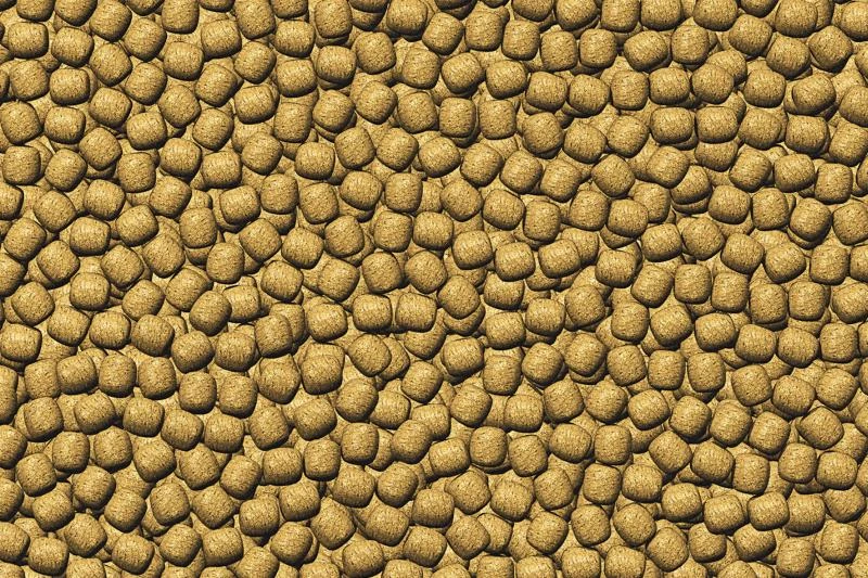 JBL ProPond Winter M 1,8 Kg 4 JBL ProPond Winter M 1,8 Kg – Bild 2