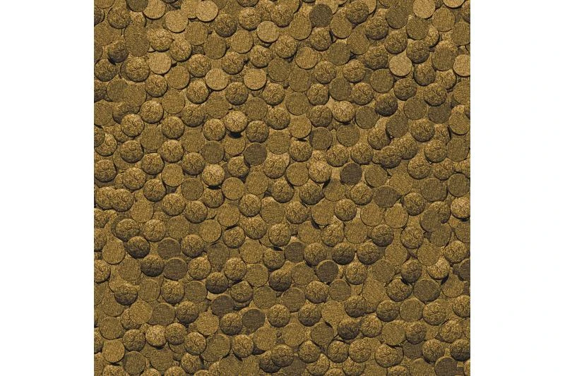 JBL ProPond Fitness L 2,5 Kg 4 JBL ProPond Fitness L 2,5 Kg – Bild 2