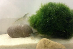 JBL || sera || TETRA Verkäufe -JBL || sera || TETRA Verkäufe IMG 0296