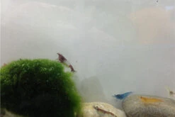 JBL || sera || TETRA Verkäufe -JBL || sera || TETRA Verkäufe IMG 0361