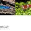 TiBee Starterpack: 5 X Blaue Tigergarnele + 5 X Crystal Red Garnele -JBL || sera || TETRA Verkäufe TiBee Starterpack 5 x Blaue Tigergarnele 5 x Crysta