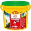 Sera KOI Color Large - 3.800 Ml -JBL || sera || TETRA Verkäufe sera koi color large 3800 ml